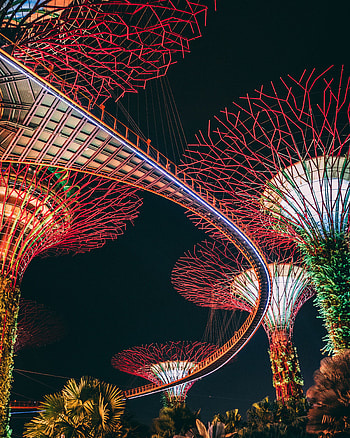 Garden, architecture, night HD phone wallpaper