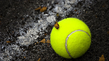 Tennis ball, On-court action, Racket sport, Professional match HD wallpaper