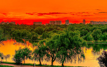 Romania park pond, Trees landscape HD wallpaper