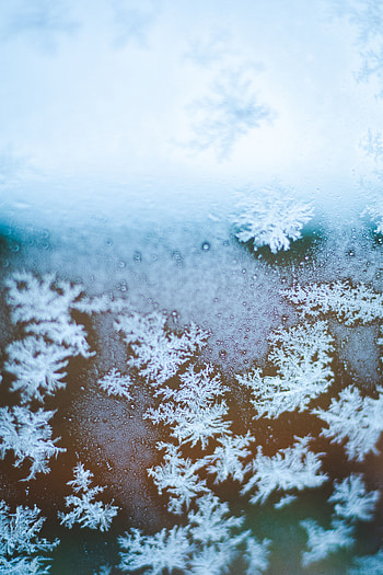 Ice, Snowflakes, Macro, Glass HD phone wallpaper