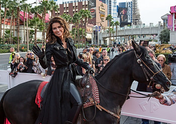 Cowgirl Shania Twain In Vegas, Shania Twain, musician, fun, entertainment, famous, parades, cowgirls, horses, westerns, girls, women, Vegas, female HD wallpaper