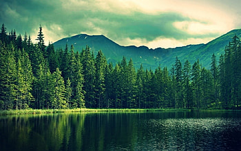 Calm River, river, mountain, lake, reflection, clouds, trees, sky, calm, lovely, forest HD wallpaper