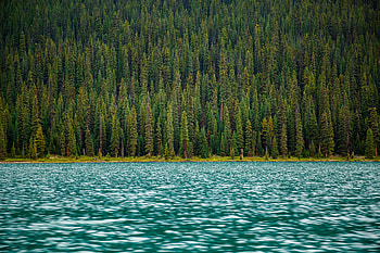 Nature, Water, Rivers, Trees, Surface HD wallpaper