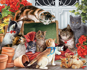Kittens in the garden, pisica, kitten, garden, cat, luminos HD wallpaper