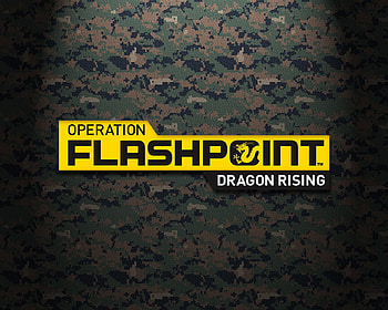 Operation flashpoint, marines, military HD wallpaper