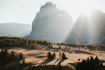 Landscape Trees Nature Sunlight, landscape, sunlight, nature HD wallpaper
