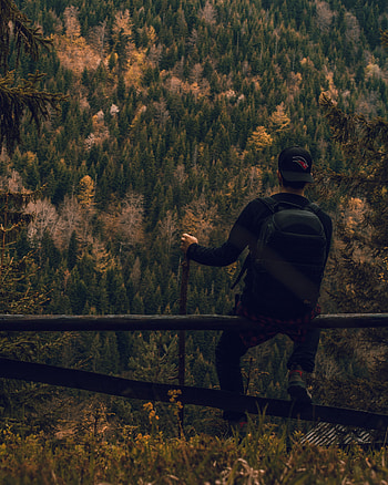 Nature, Miscellanea, Miscellaneous, Forest, Human, Person, Backpack, Rucksack, Campaign, Hike HD phone wallpaper