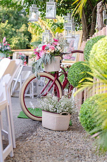 Flowers, Miscellanea, Miscellaneous, Bouquet, Basket, Bicycle, Flashlights HD phone wallpaper