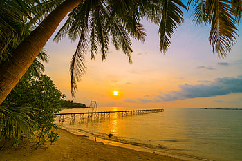 Summer Beach Sunset, Beach, Palms, Sunset, Coast HD wallpaper