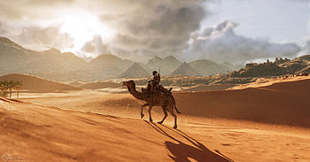 Camel Assassins Creed Origins , assassins-creed-origins, assassins-creed, games, xbox-games, ps-games, pc-games, 2019-games, camel HD wallpaper