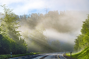 Nature, Trees, Rays, Beams, Road, Markup HD wallpaper
