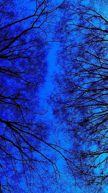 Blue Aesthetic, Nature Blue HD phone wallpaper