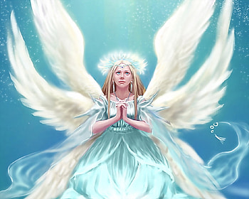 angel pray, blue, winged, halo, cute, angel HD wallpaper