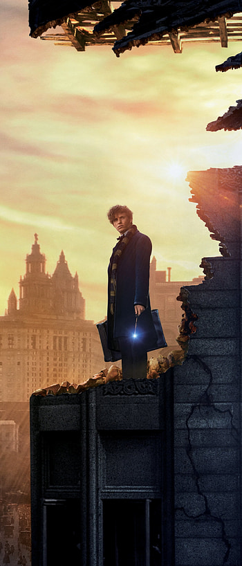 Movie, Fantastic Beasts, Where to Find Them HD phone wallpaper