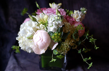 Flowers, Greens, Bouquet, Composition, Hydrangea, Gillyflower, Levkoy, Peony, Pion HD wallpaper