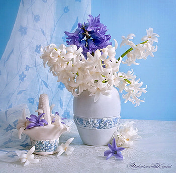 Natures gifts, blue, purple, white, vase, flowers HD wallpaper