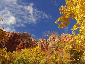 Autumn field, field, autumn, sky, nature, forest, tree HD wallpaper