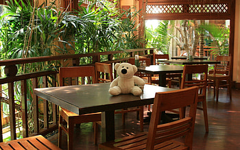 Plant, Miscellanea, Miscellaneous, Toy, Furniture, Living Room, Tables, Chairs HD wallpaper