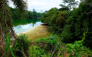 Gabon travels, Gabon , 2020 broken panda, Broken panda HD wallpaper