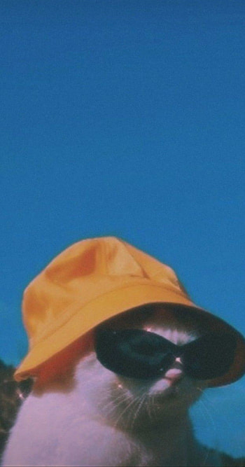 A_/nD*Rai, cer, ochelari HD phone wallpaper