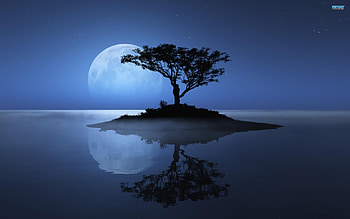 moon shadow on river HD wallpaper