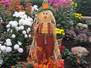scarecrow in a greenhouse, scarecrow, nature, flowers, beauty HD wallpaper