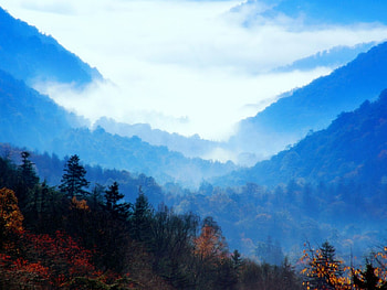 Journey through America: Tennesse, landscape, tennesse, america, mountains, forest, beauty, places HD wallpaper