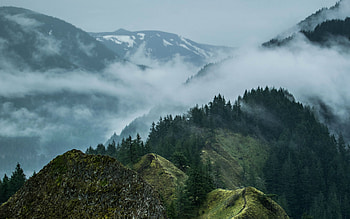 mountain range, morning, fog, mountain landscape, fog in the mountains, forest, cloudy weather HD wallpaper
