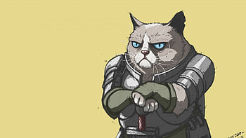 Preview grumpy cat, armor, meme, popular HD wallpaper