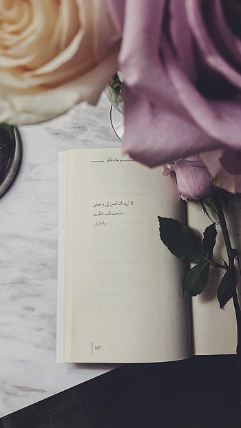 Flowers, Roses, Words, Book, Quote, Quotation HD phone wallpaper