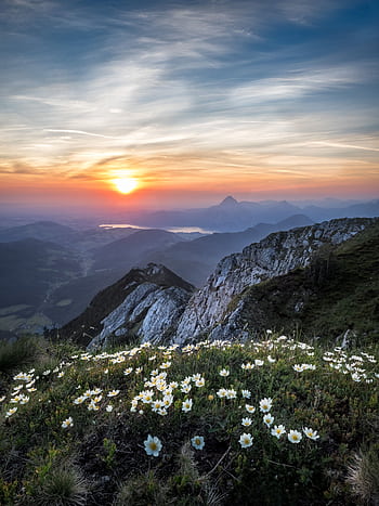 A stunning sunrise view over a rocky mountain landscape with wildflowers in bloom. HD phone wallpaper