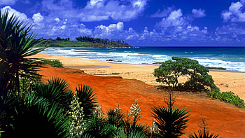 Beach Backgrounds and - Kealia Beach, Kauai, Hawaii . HD wallpaper