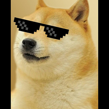 Dogmeme, fur, meme, dog HD phone wallpaper