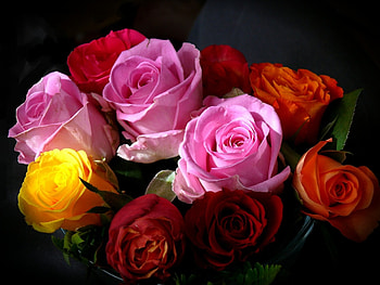 Colorful Bouquet, purple, roses, yellow, nature, flowers, orange HD wallpaper