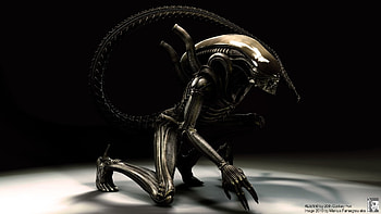 resize crop it in available screen resolutions HD wallpaper
