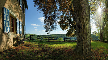 Nature, Wood, Tree, Wall, Fence, Bench, Courtyard, Yard HD wallpaper