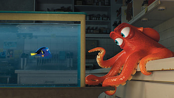 Finding Dory (2022) movie HD wallpaper