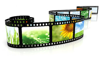 Color on Film, abstract, color, graphy, develop, camera, nature, flowers, film HD wallpaper