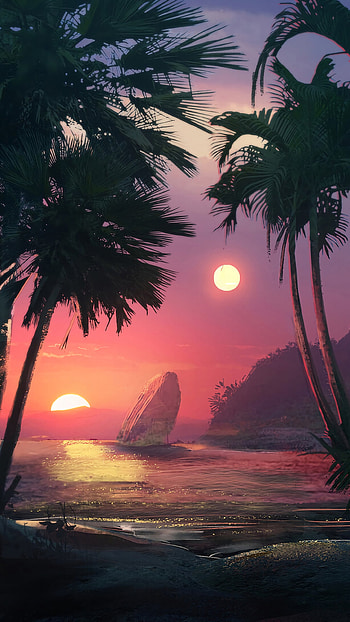 Palm tree paradise, Tropical getaway, Exotic beauty, Sunlit beaches HD phone wallpaper