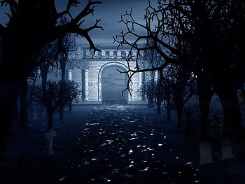 Darkness, horror, forest, dark HD wallpaper
