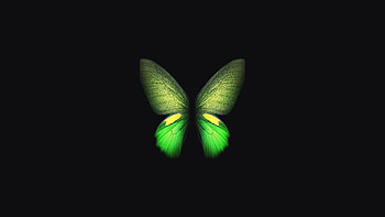 Samsung Galaxy Fold , samsung-galaxy-fold, butterfly, samsung, stock, original, artist, digital-art, dark, black, oled HD wallpaper