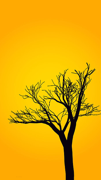 Black Tree, , yellow, , India HD phone wallpaper