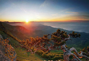 On top of the World, trees, view, sky, beautiful, sun, rocks HD wallpaper