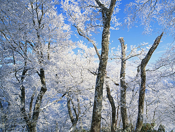 gift of nature, landscape, nature, beauty HD wallpaper