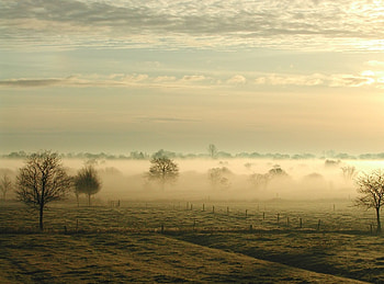 Nature, Trees, Sky, Clouds, Fog, Field, Haze, Ease HD wallpaper