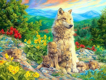 :), animal, frumusete, art, cute, cib, wolf, painting, pictura, green, luminos, lup HD wallpaper