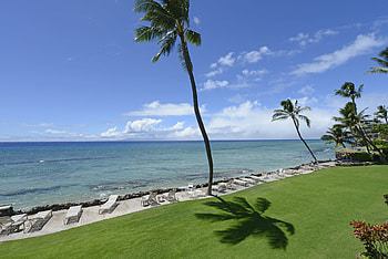 Lahaina Hawaii, Ultra superior, Completely remodeled, Maui lodging properties HD wallpaper