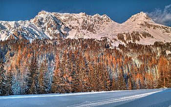 Winter, Nature, Trees, Mountains, Snow, Forest HD wallpaper