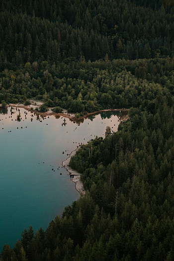 Nature, Trees, View From Above, Lake, Forest HD phone wallpaper
