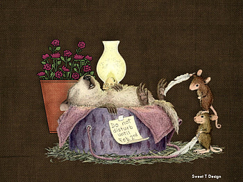 House Mouse, groundhog, lantern, mouse, house HD wallpaper